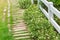 Wood foot path with fence in the garden decoration