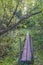 Wood footbridge on a footpath in the forest