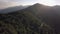 wood forest mountain summer sunny sunset or sunrise dawn or dusk with road 4k aerial drone back flight wide nature