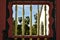 Wood frame window garden gate view tropical palm trees