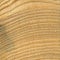 Wood grain texture, pine wood. the texture of the wood, wood grain cut.