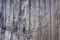 Wood gray texture