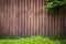 Wood grunge vertical with tree grass on frame background.