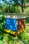 Wood Hive For Bees. Beekeeping.