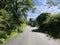 Wood House Lane, with wild plants, and old trees in, Slaidburn, Clitheroe, UK