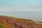 Wood Islands red sand coastline near the lighthouse