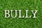 Wood letter in word bully on green grass background