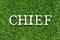 Wood letter in word chief on artificial green grass background