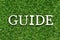 Wood letter in word guide on artificial green grass background