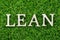 Wood letter in word lean on green grass background