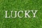 Wood letter in word lucky on green grass background