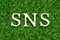 Wood letter in word  SNS abbreviation of Social Networking Site or sorry not sorry on green grass background