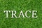 Wood letter in word trace on green grass background