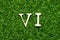 Wood letter in word  VI abbreviation for value investor on green grass background