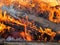 Wood logs burn in an orange flame with smoke