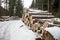 Wood logs at the edge of a mountain forest 