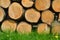 Wood logs and grass natural background