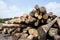 Wood logs pile