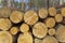 Wood logs prepared to be transported out of the woods