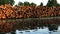 Wood logs by the river viewed from the boat