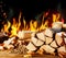 Wood logs sitting in front of flaming background