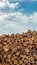 Wood logs stacked in several piles