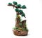 Wood made of bonsai beads on white background