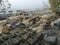 Wood market at the Irrawaddy river bank in Mandalay