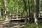 A wood and metal bridge crossing a creek in a forest at Petrifying Springs Park in Kenosha, Wisconsin