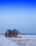 Wood and a moon winter