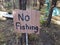 Wood no fishing sign in woods or forest with dinosaur