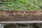 A wood park bench engraved with a quote from John Muir in front of a rock garden