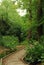 Wood path forest trees footpath summer park outdoor