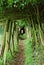 Wood path forest trees footpath summer park outdoor