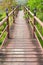 Wood path over garden