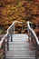 Wood path over a river