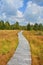 Wood path through the peat bog