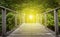 Wood pathway with sun light in mangrove forest