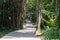 Wood pathways in the forest and trees.