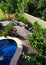 Wood patio & pool layout with landscaping