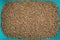 Wood pellet cat litter in light blue plastic container, top view