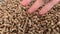 Wood pellets