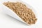 Wood pellets on white scoop and white background