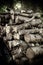 Wood pile closeup