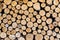 Wood pile, logs. Logs wall. Wooden tile background design