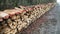 Wood pile in wood