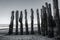 Wood piles at low tide on the beach of Saint Malo France