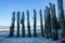 Wood piles at low tide on the beach of Saint Malo, France