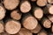 Wood piles trees, sawn wood, stacked tree trunks, lumber, firewood