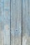 Wood plank background old painted at pale blue, strong shabby, out of color
